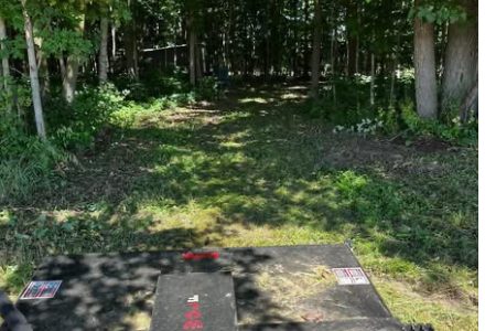 Cleared path through wooded brush