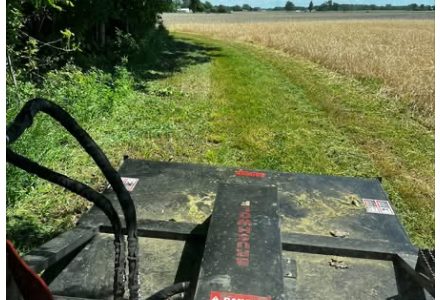 Freshly mowed pasture path along a field edge